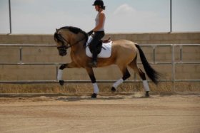  Le spécialiste discount des boxs pour chevaux.